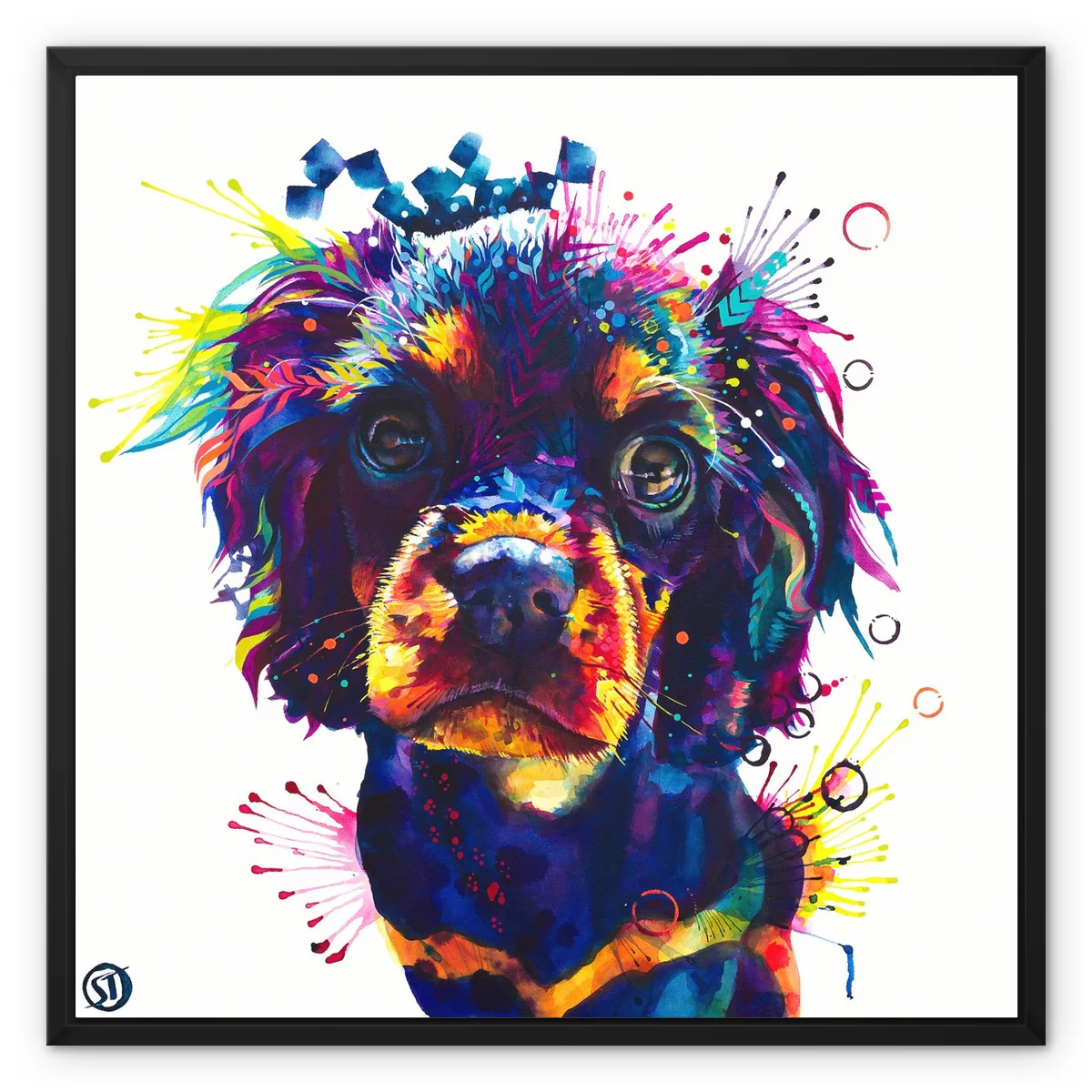 Crumble the Cavalier King Charles Spaniel Framed Canvas