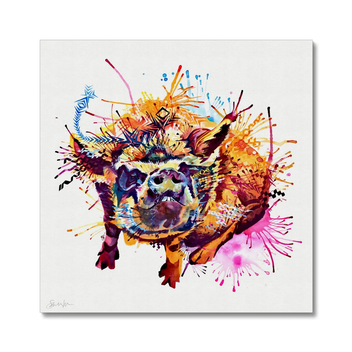 Gladys the Kune Kune Pig Canvas