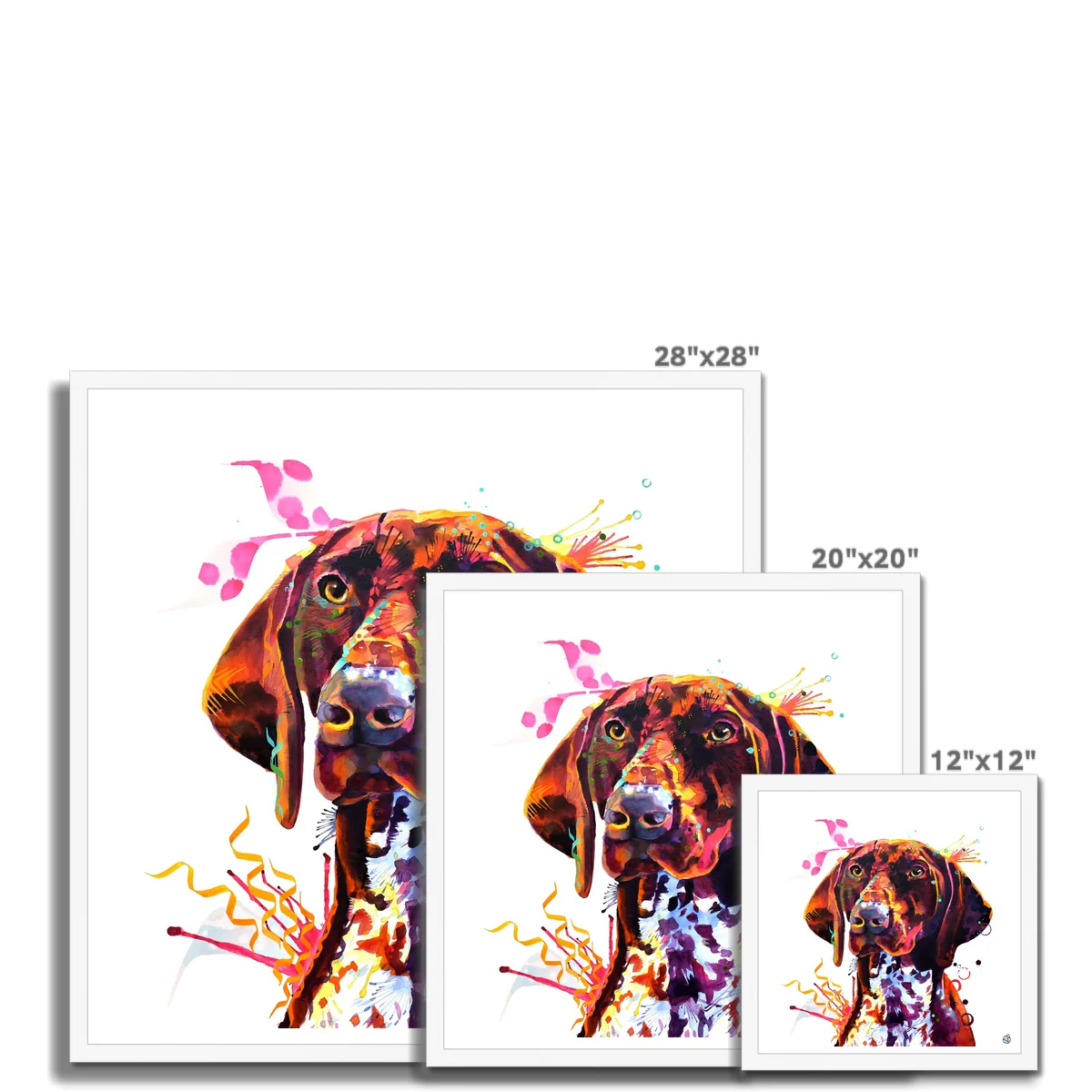 Lola the German Pointer Framed Print - Image 7
