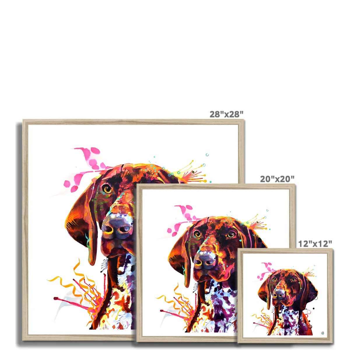 Lola the German Pointer Framed Print - Image 9