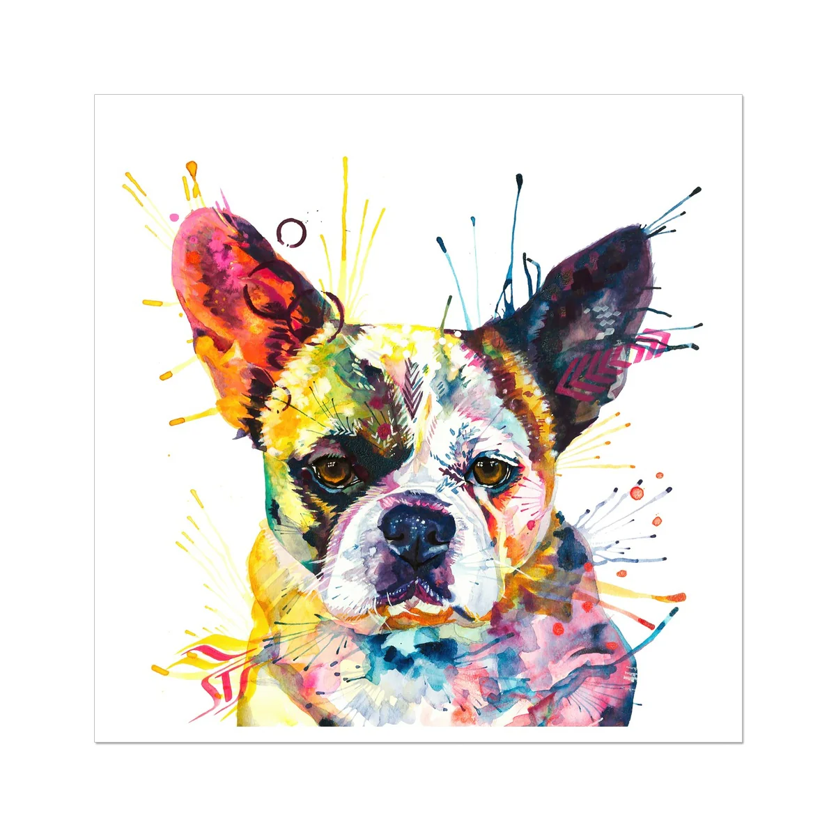 Ludo the Bullnese (French Bulldog x Pekingnese) Fine Art Print