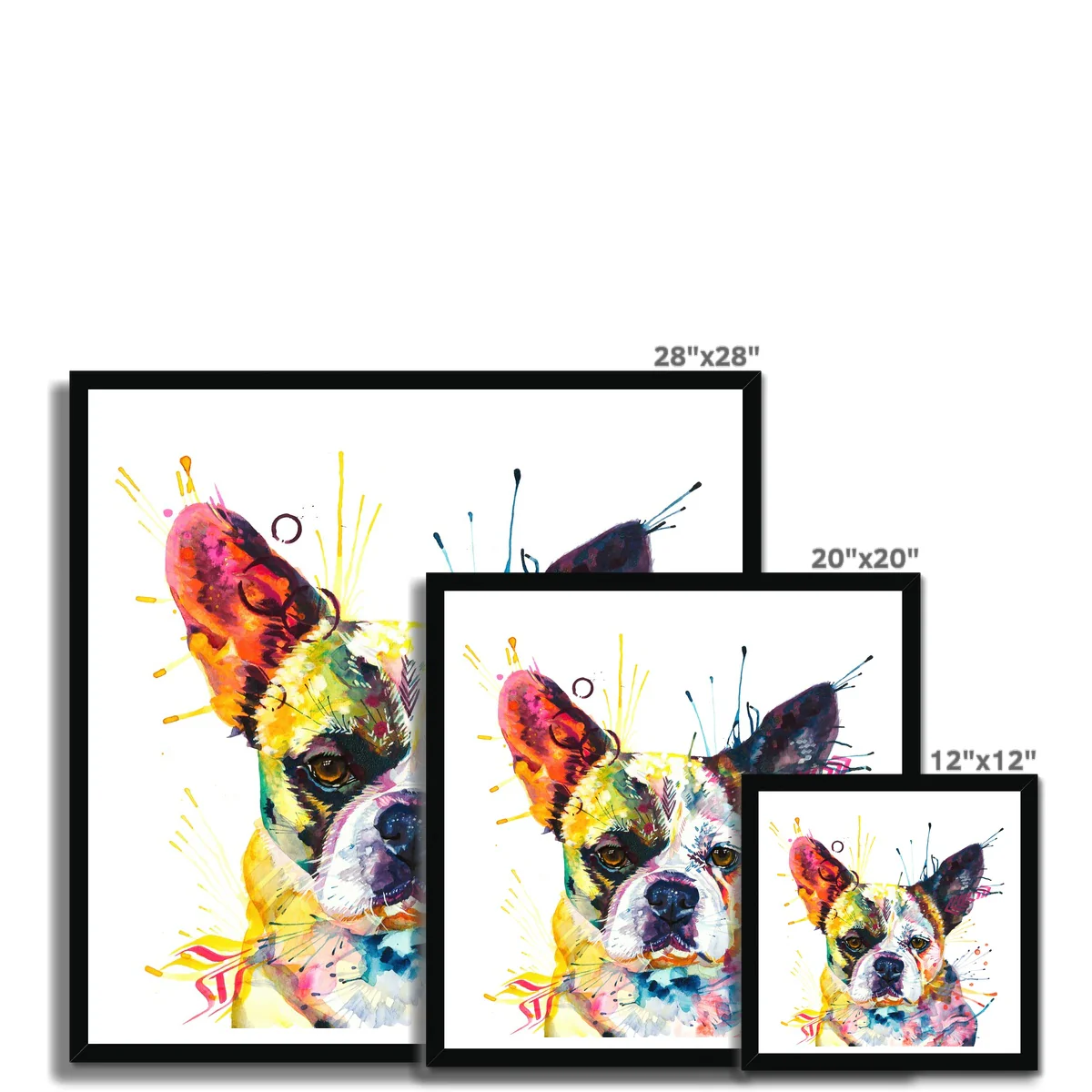 Ludo the Bullnese (French Bulldog x Pekingnese) Framed Print - Image 10