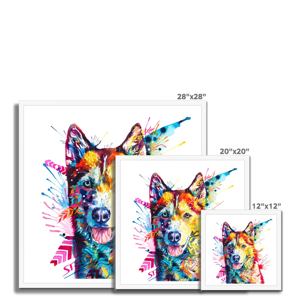 Luna the Husky Framed Print - Image 10