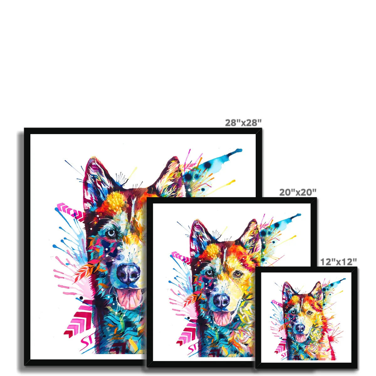 Luna the Husky Framed Print - Image 11
