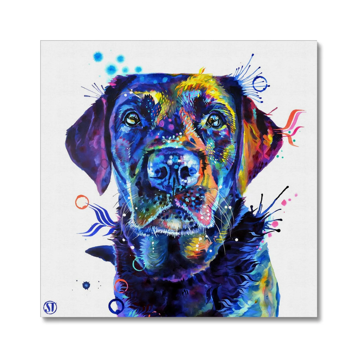 Neli the Black Labrador Canvas