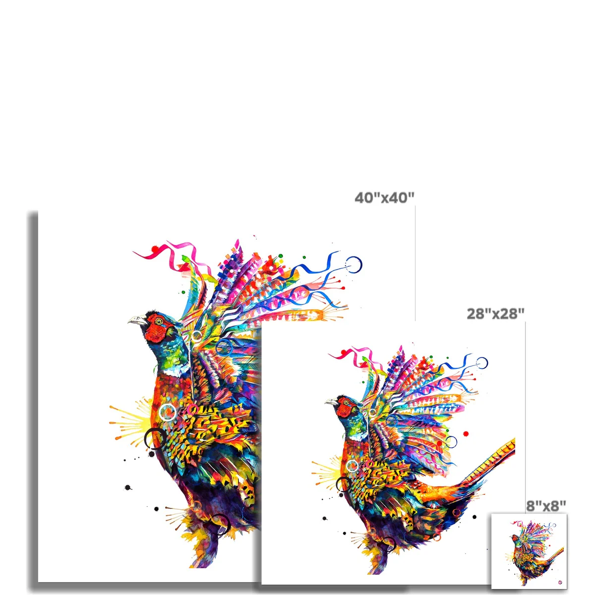 Parker the Pheasant Fine Art Print - Image 3