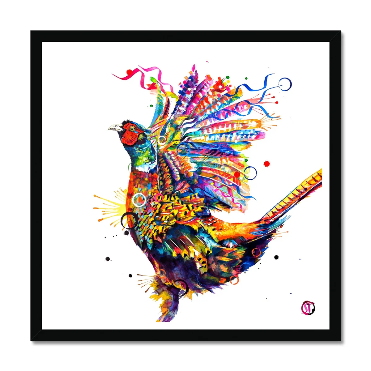 Parker the Pheasant Framed Print