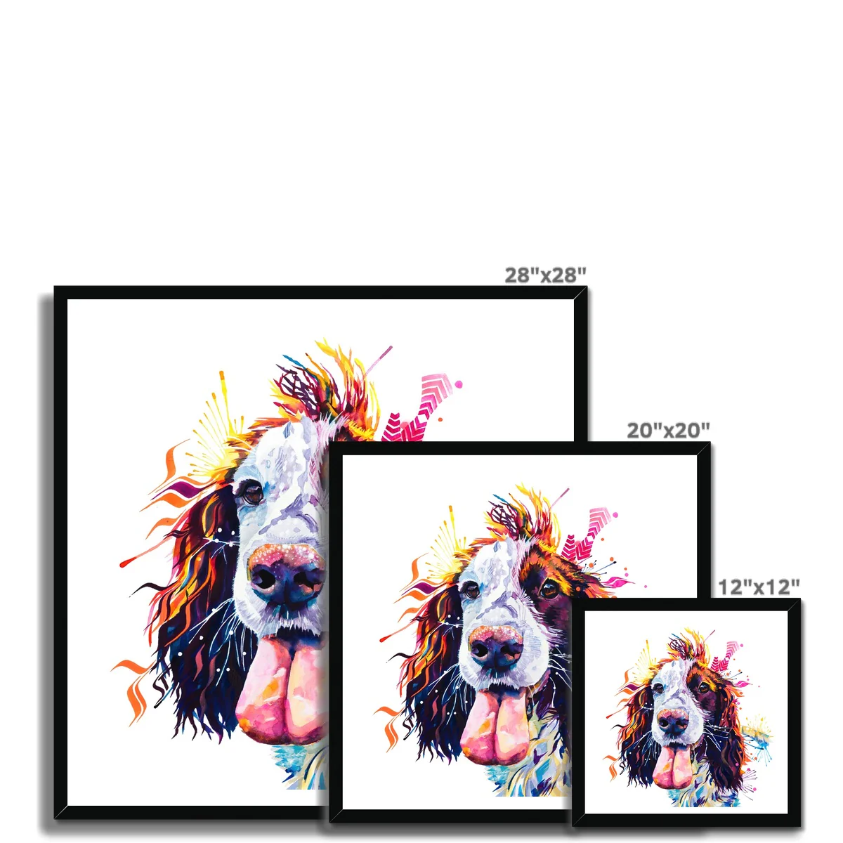 Patchy the Sprocker Framed Print - Image 11