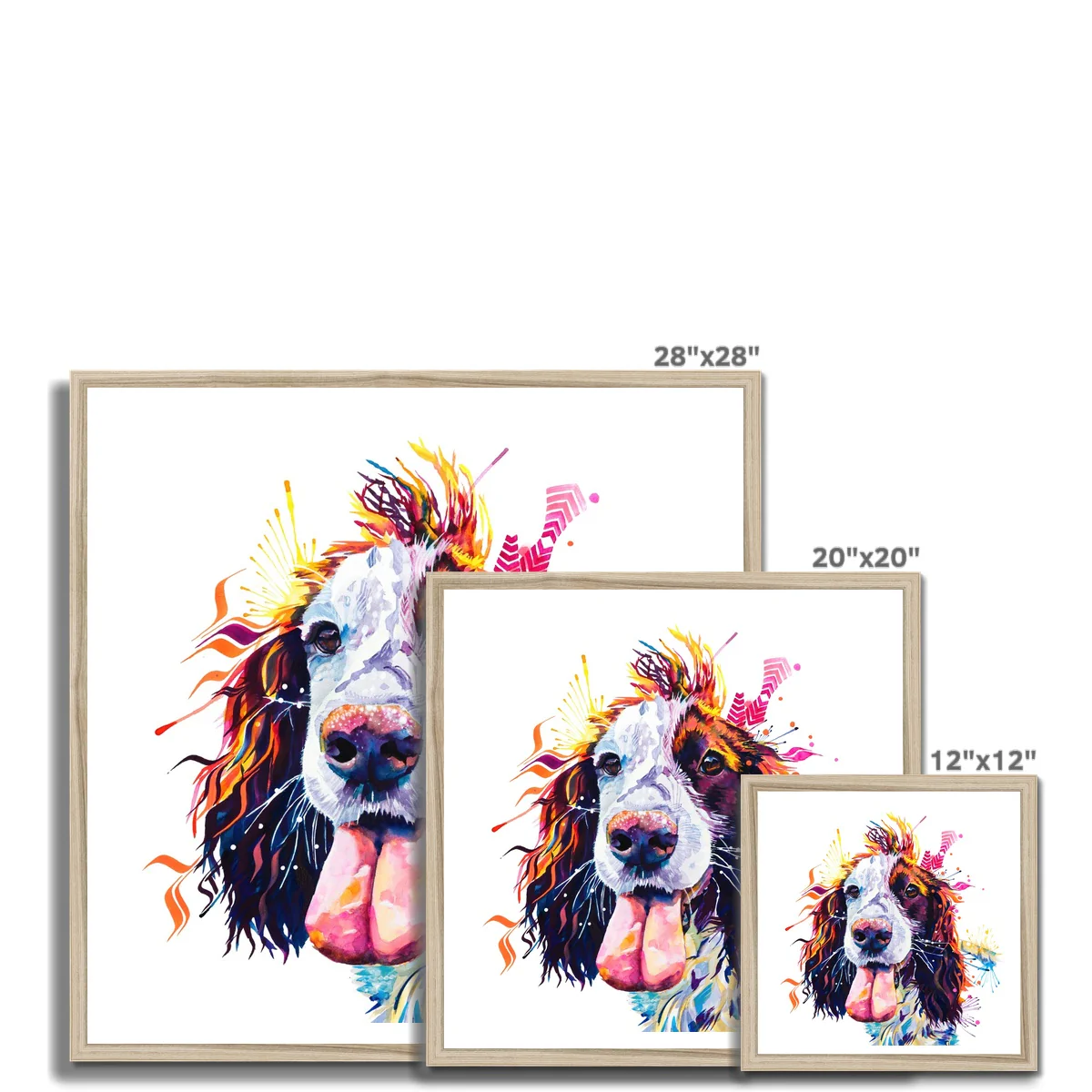 Patchy the Sprocker Framed Print - Image 12