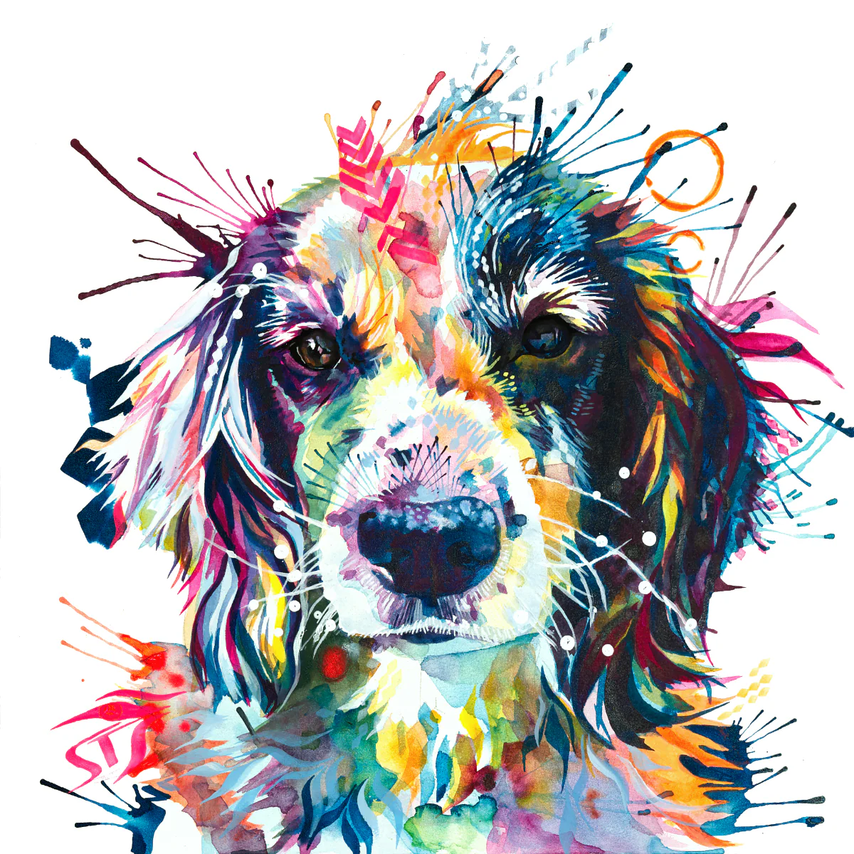 Poppy the Sprocker Framed Canvas - Image 3