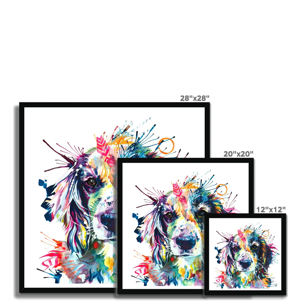 Poppy the Sprocker Framed Print - Image 11
