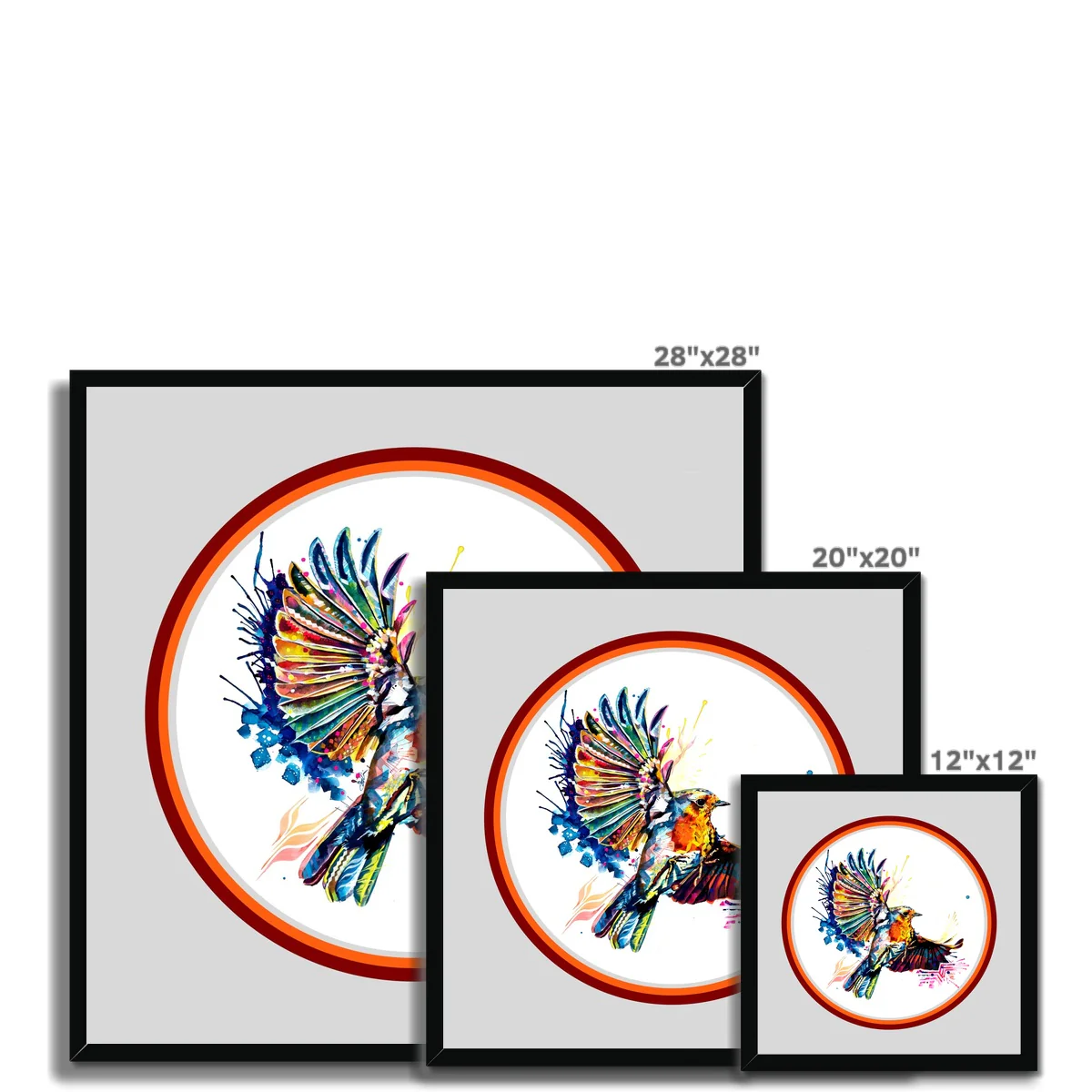 Robbie Dazzler the Robin Circle Framed Print - Image 4