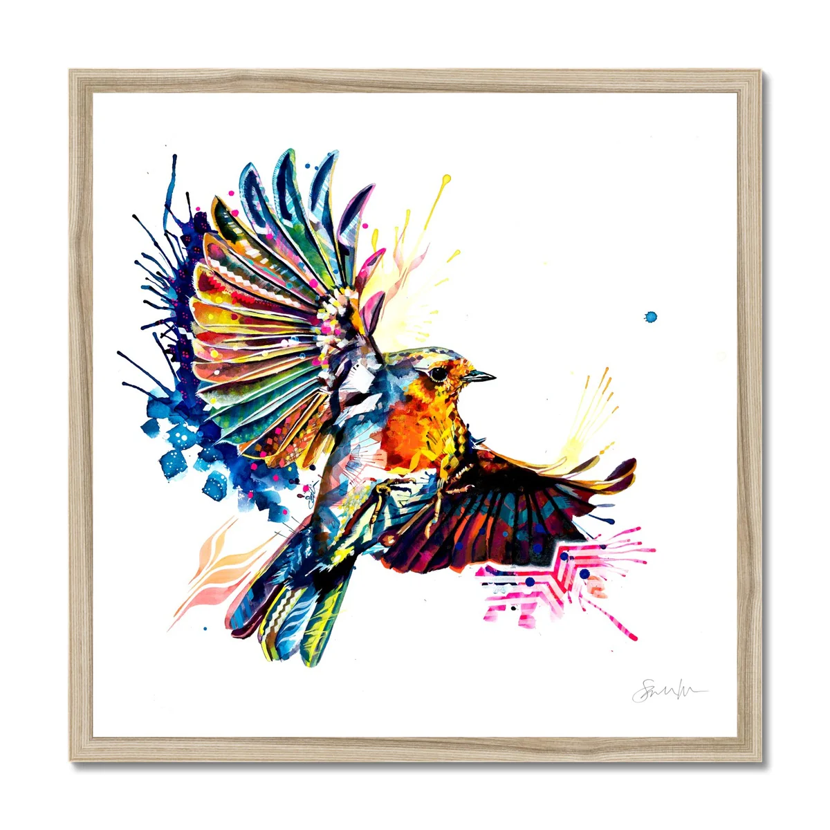 Robbie Dazzler the Robin Framed Print - Image 3