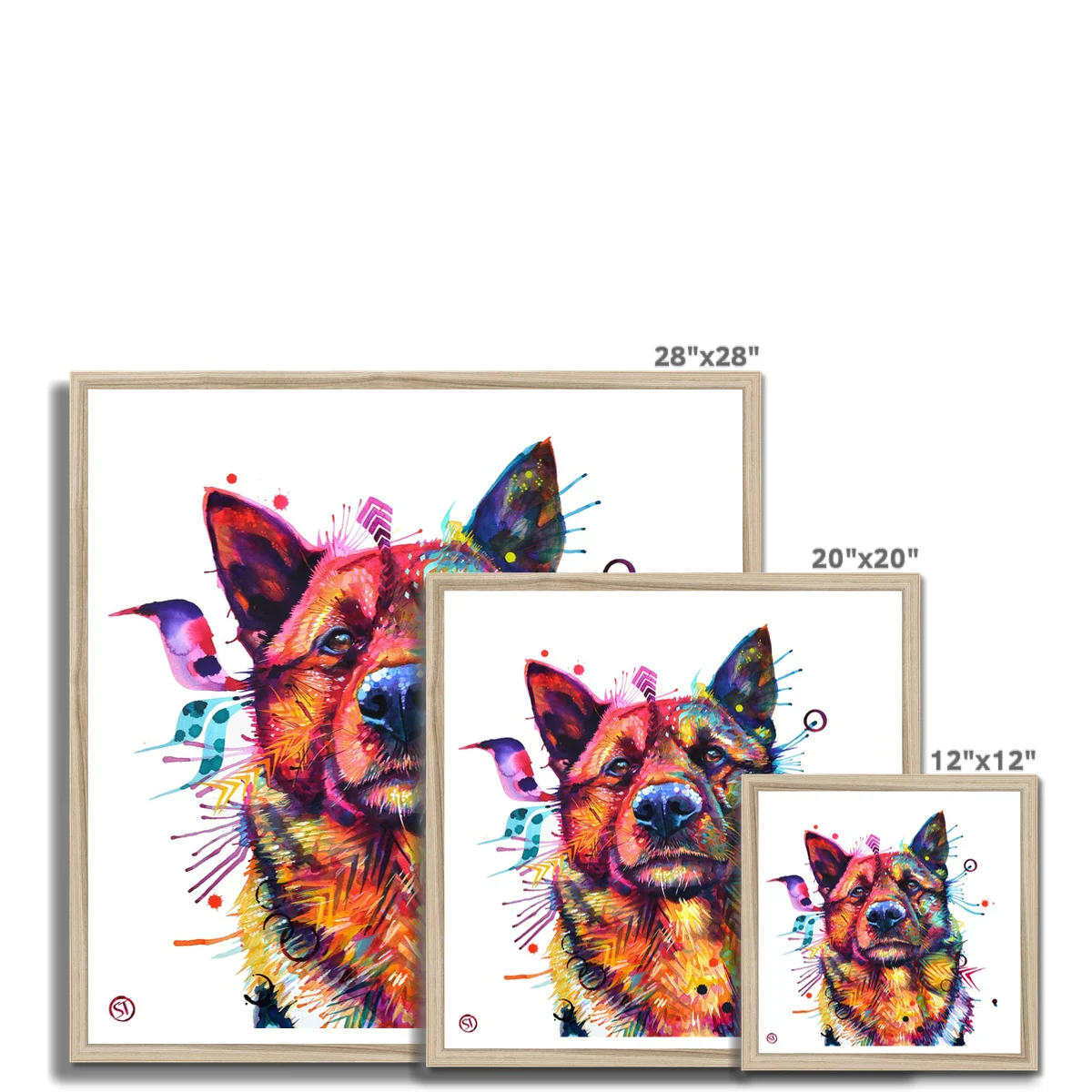 Snorri the Norwegian Elkhound Framed Print - Image 9