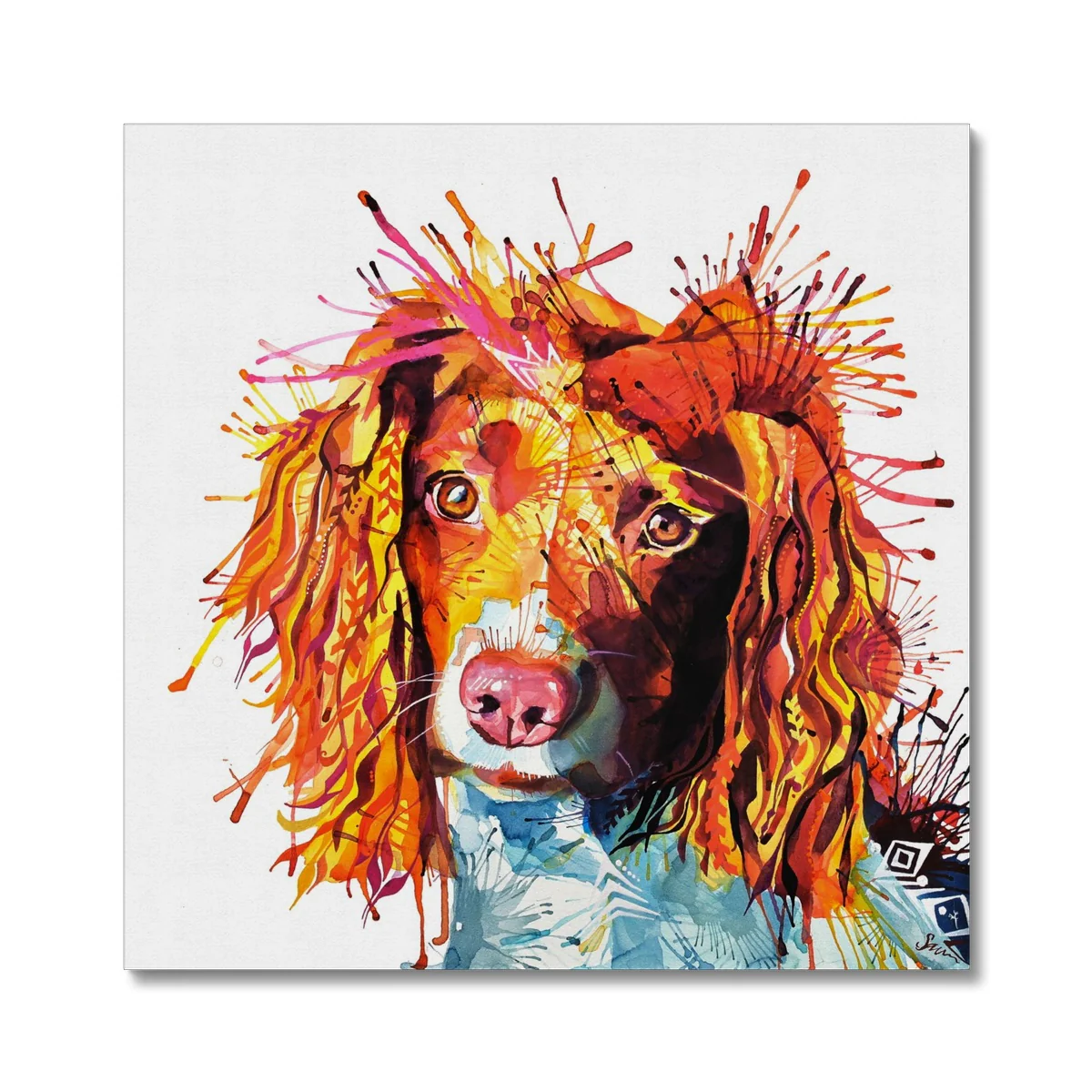 Daisy the Springer Spaniel Canvas