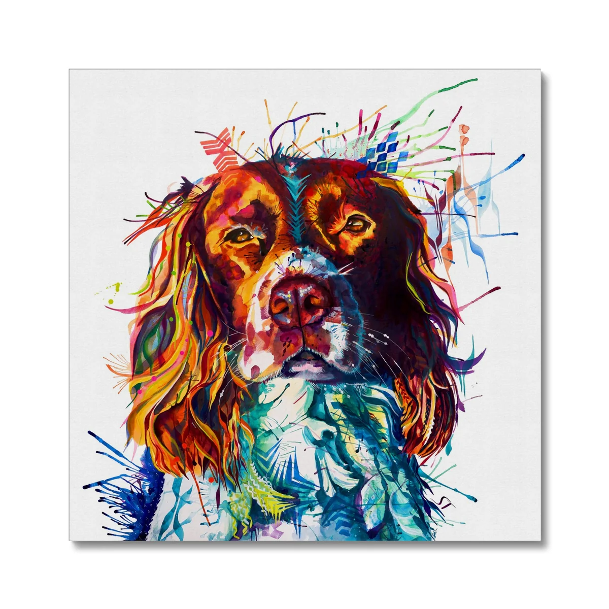 Spruce the Springer Spaniel Canvas