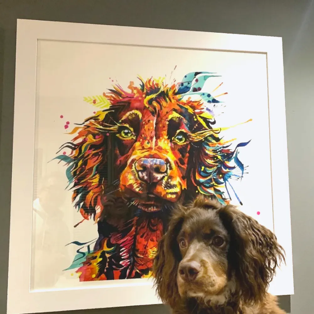Teddy the Cocker Spaniel Framed Print - Image 4
