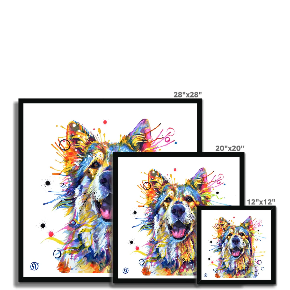 Teddy the German Shepherd Framed Print - Image 8