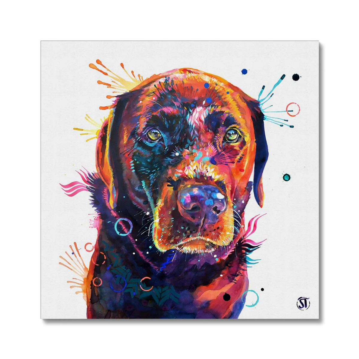 Tedi the Chocolate Labrador Canvas