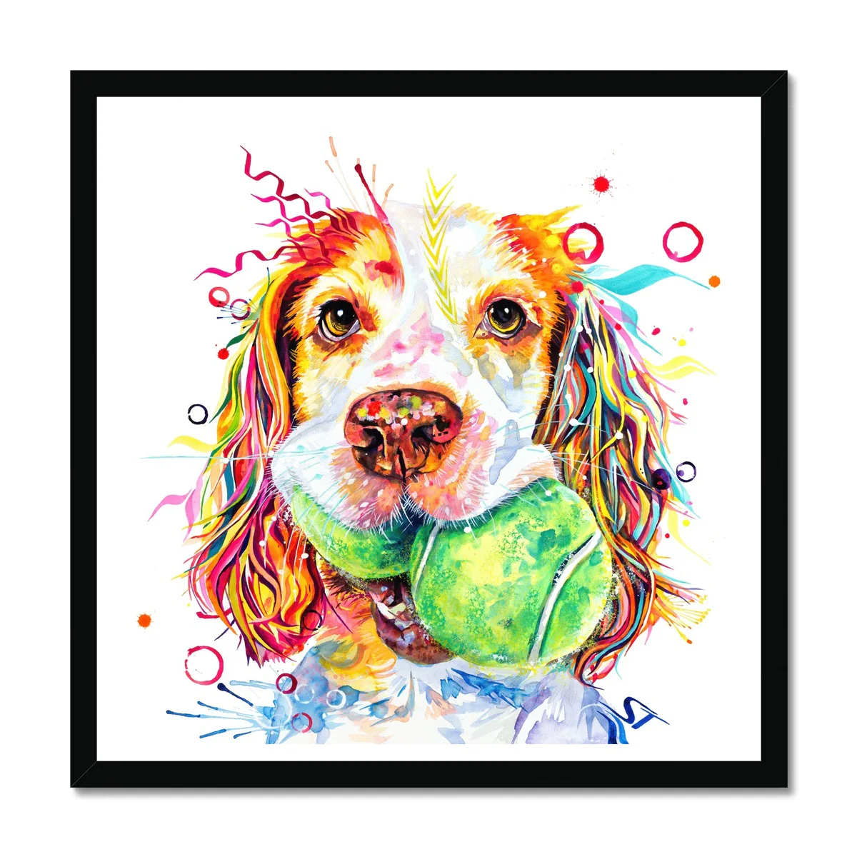 The Ball Girl! Sprocker Spaniel Framed Print