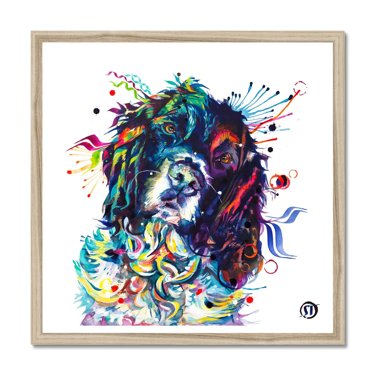 Thorin the Springer Spaniel Framed Print - Image 3