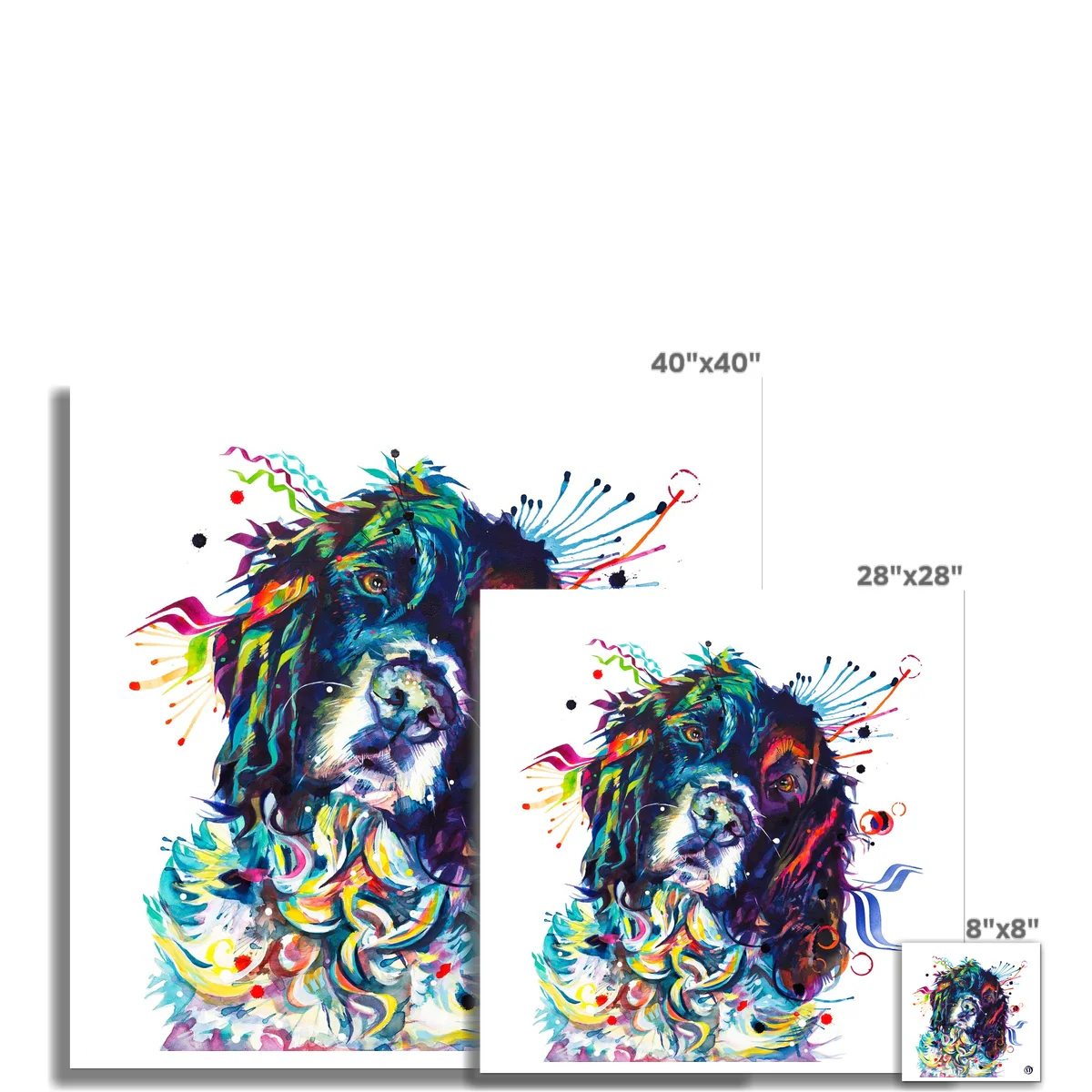 Thorin the Springer Spaniel Fine Art Print - Image 3