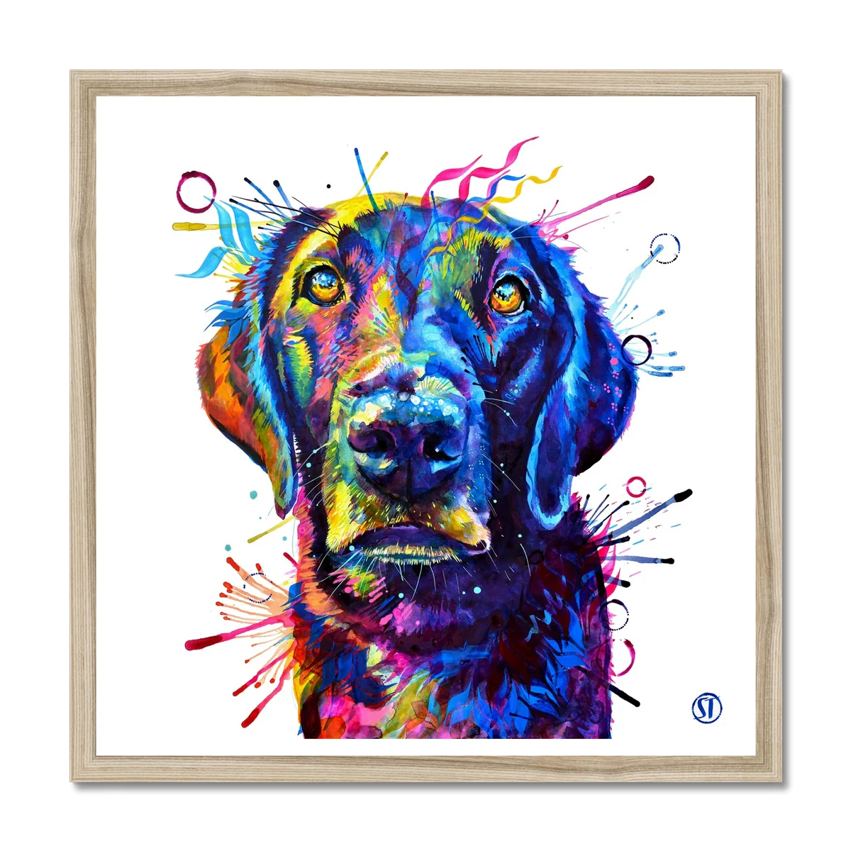 Tommy the Labrador Framed Print - Image 3
