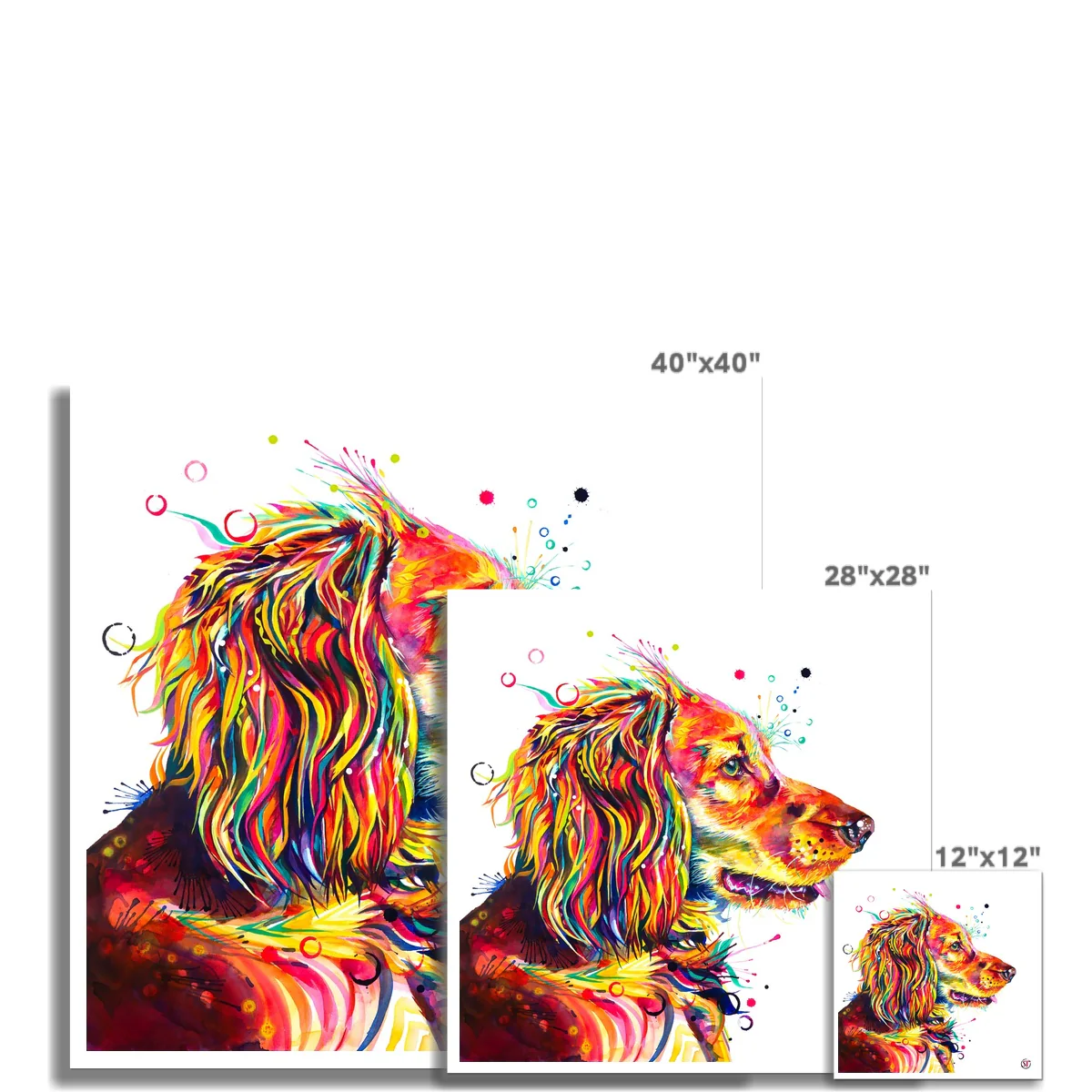 Wesley the Cocker Spaniel Fine Art Print - Image 3