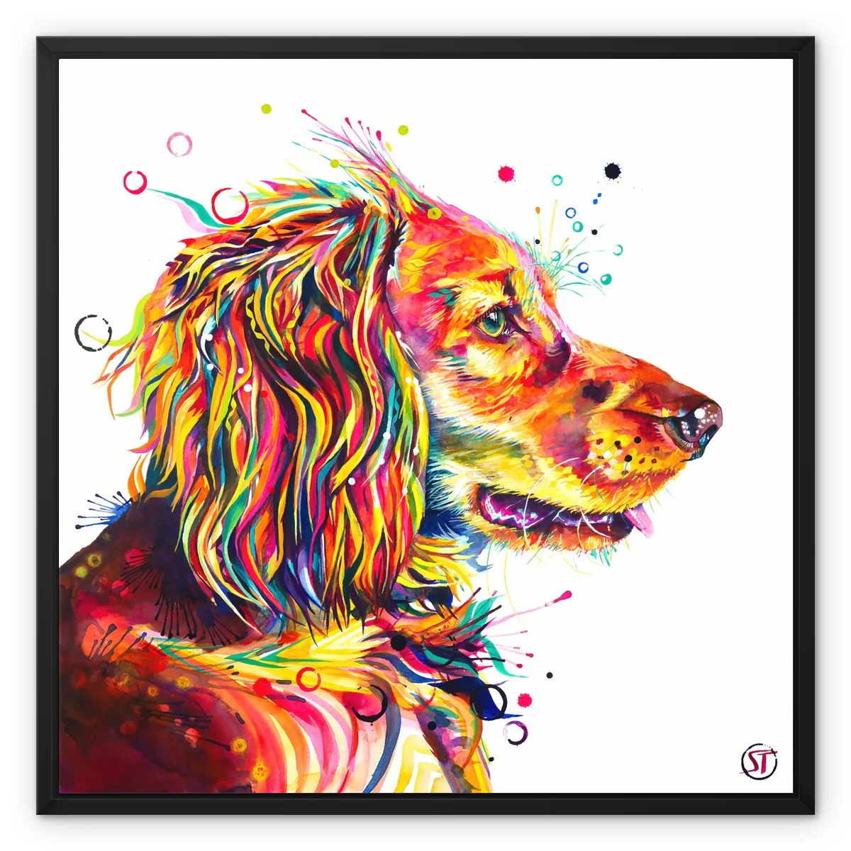 Wesley the Cocker Spaniel Framed Canvas