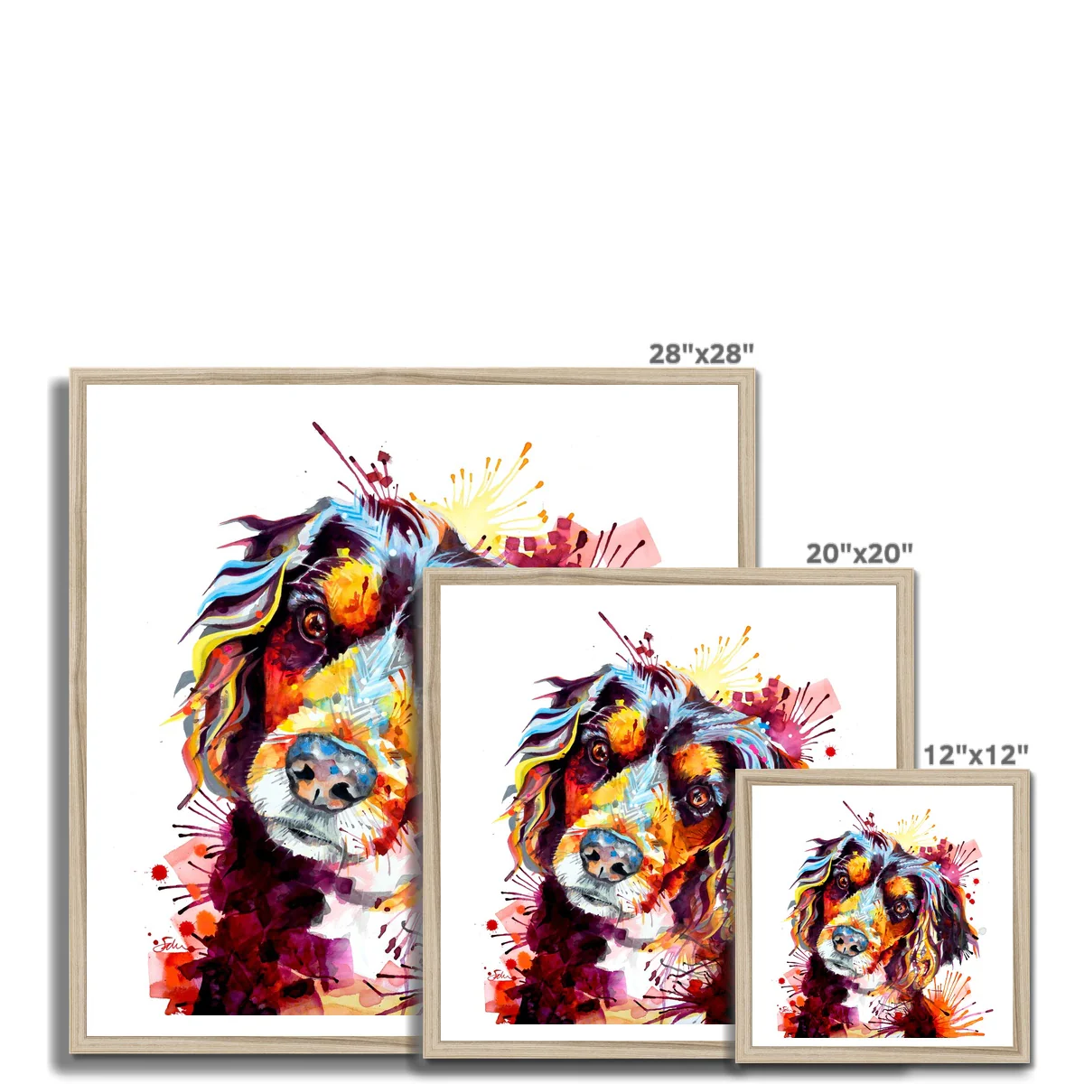 Winston the Working Cocker Spaniel Framed Print - Image 11