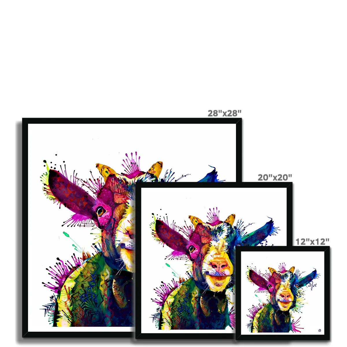 Zeus; King of Goats Framed Print - Image 12